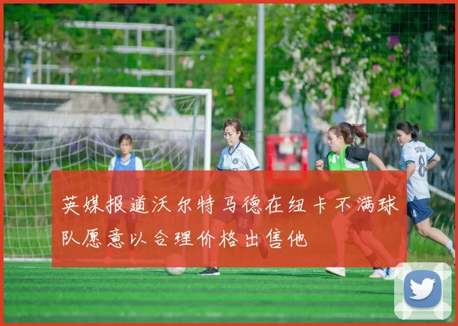 英媒报道沃尔特马德在纽卡不满球队愿意以合理价格出售他